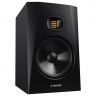 Adam T8V 8" 2-Way Studio Monitors (Single)