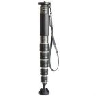 Gitzo GM4562 Carbon Fibre Monopod