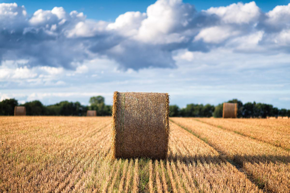 Roll of hay in a field beneath a cloudy blue sky, photographed with the Nikon AF-S NIKKOR 85mm f/1.4G Lens