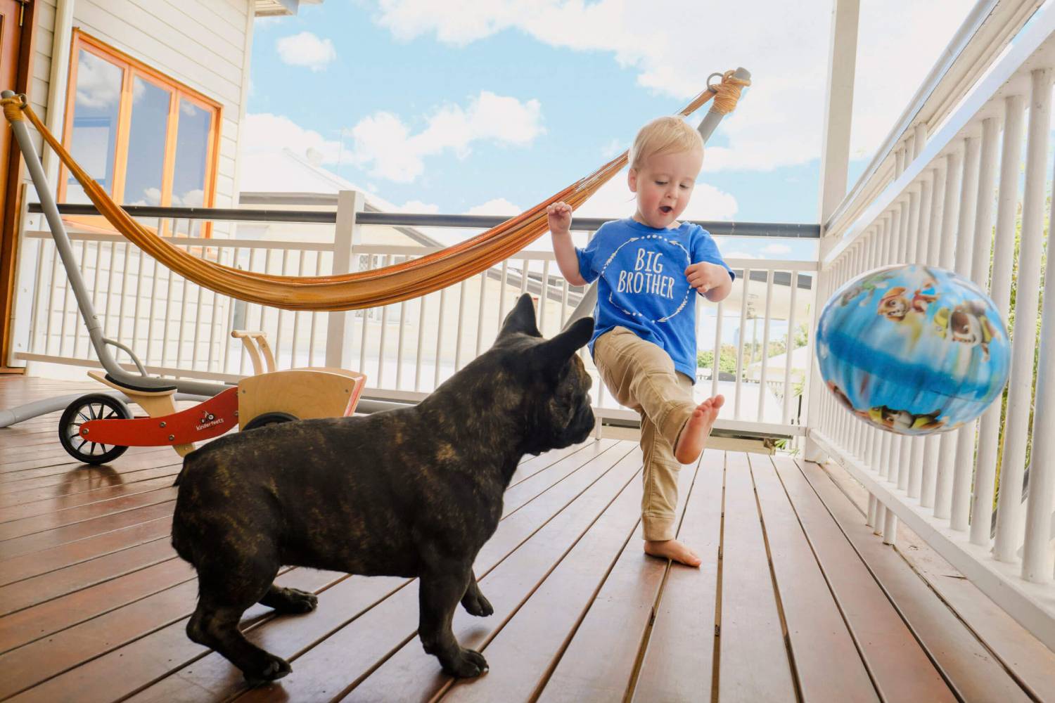 a boy and a dog playing with a ball