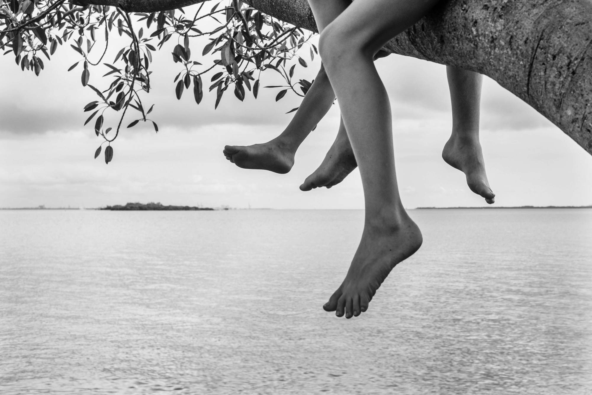 two children sitting on top of a tree branch overlooking the sea