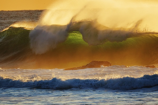 Water spraying off an ocean wave in golden afternoon light, photographed with the Canon RF 800mm f11 lens