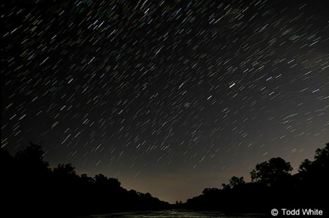 Blurred stars in a night sky above silhouettes of trees, photographed with the Panasonic LUMIX S5 