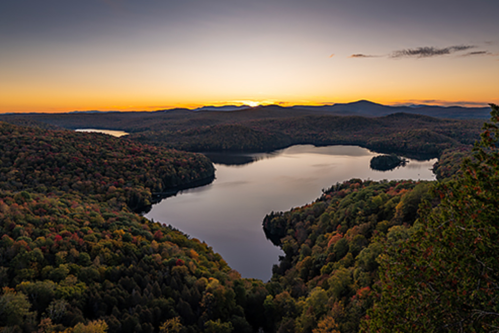 Forest surrounding water at sunset, photographed with the Panasonic Lumix S Pro 16-35mm f4 Lens