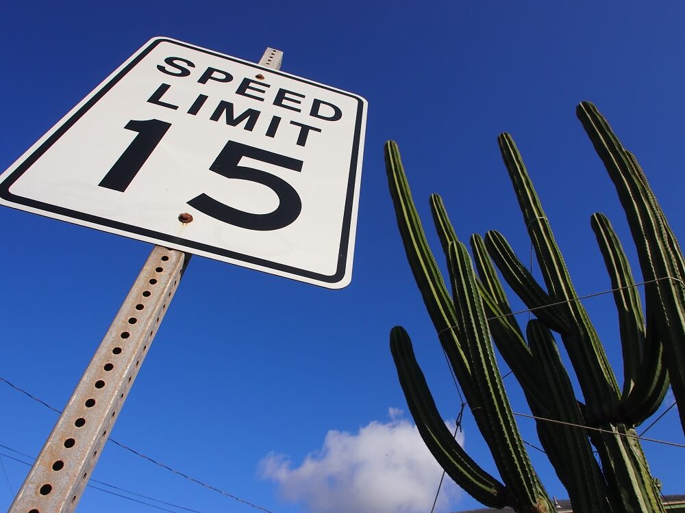 Sign saying ‘Speed Limit 15’ and large cactus against a near cloudless blue sky, photographed with the Olympus 12mm f2 lens