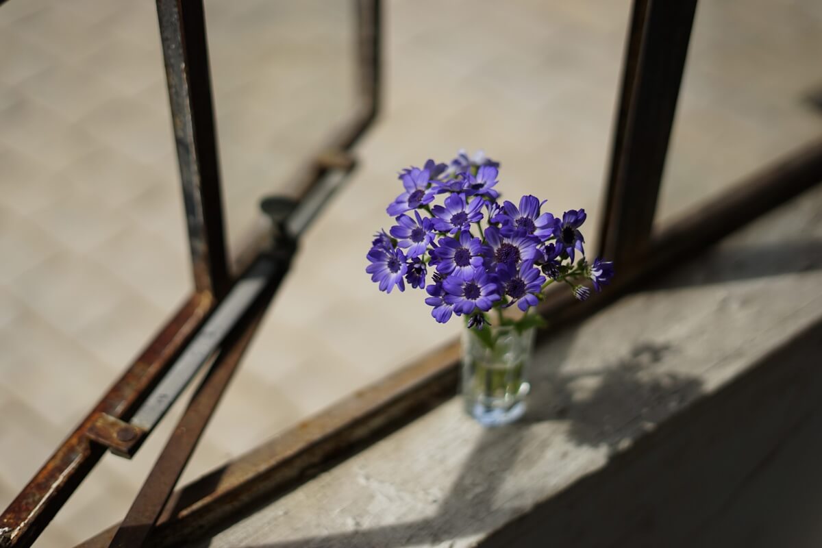 Vase of blue-purple flowers sitting on the sill of a rusty, partly open window – photographed with the Sony 50mm f1.8 lens