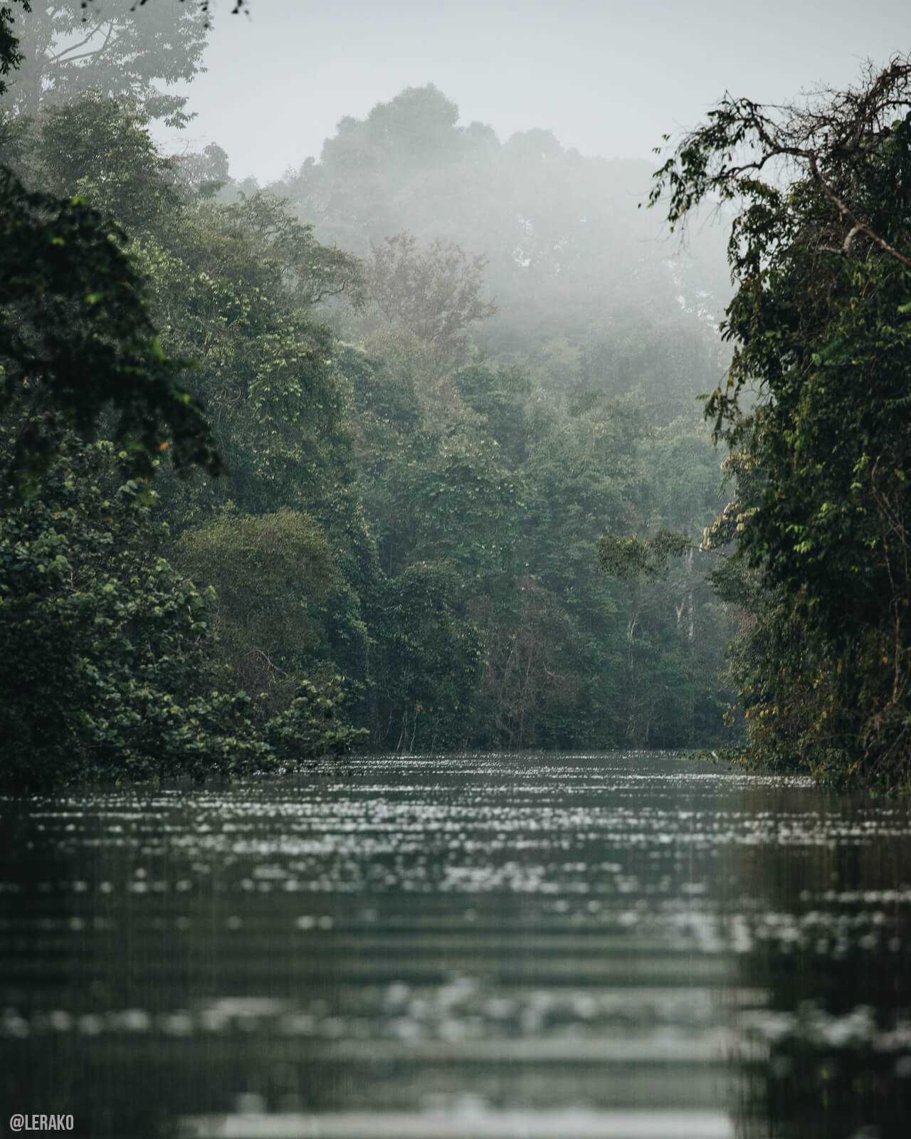 landscape photo of the kinabatangan river