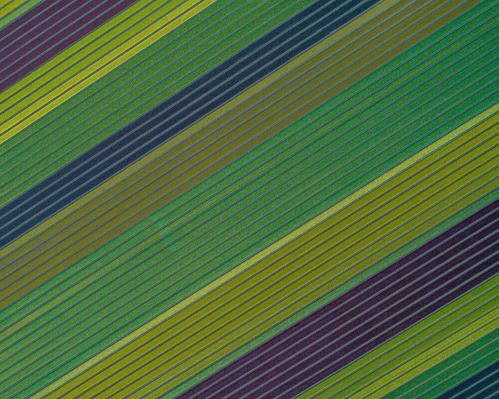 aerial photograph of a beautiful green field