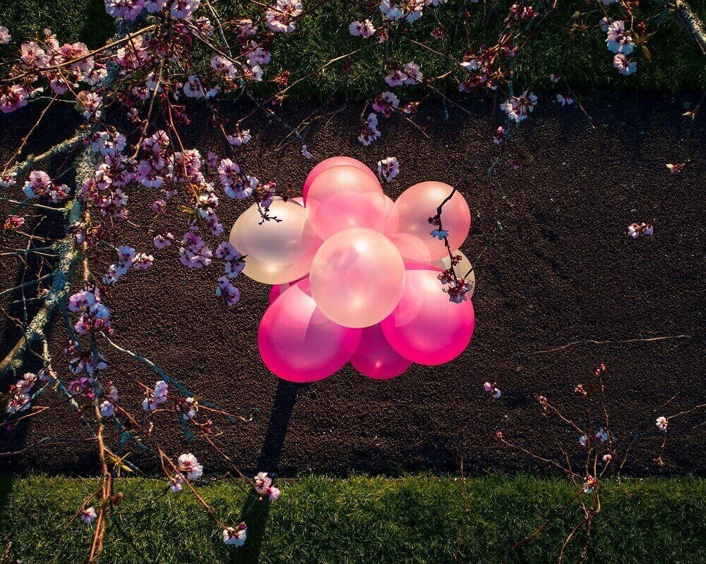 pink balloons