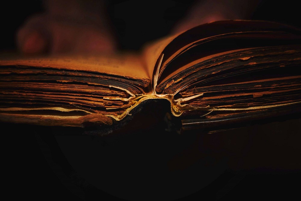 bind of a book macro photography