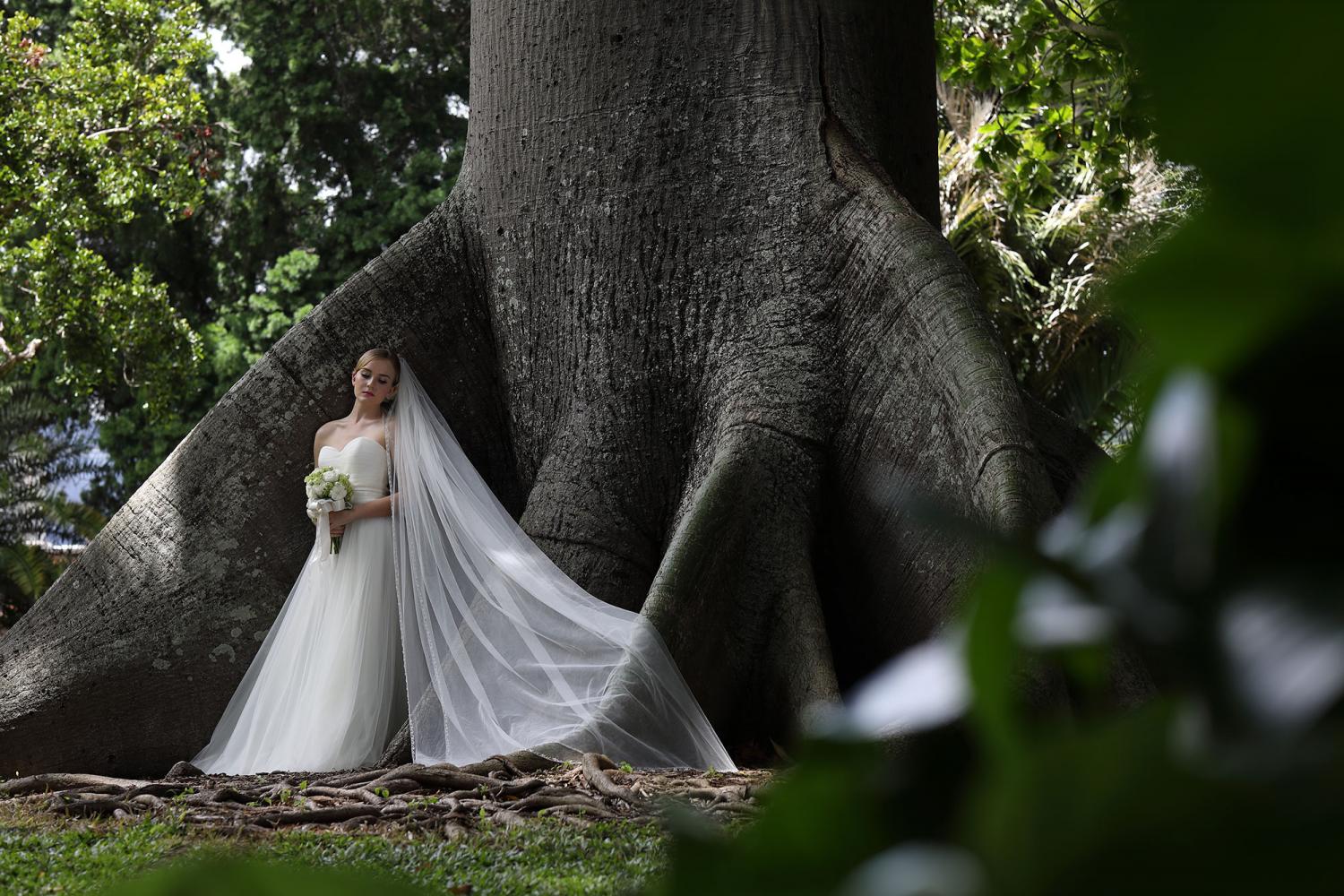 Bride wearing long veil standing beside the roots of a giant tree, photographed with the Canon EF 85mm f1.4L lens