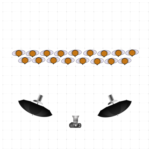 Diagram of group photo lighting set up