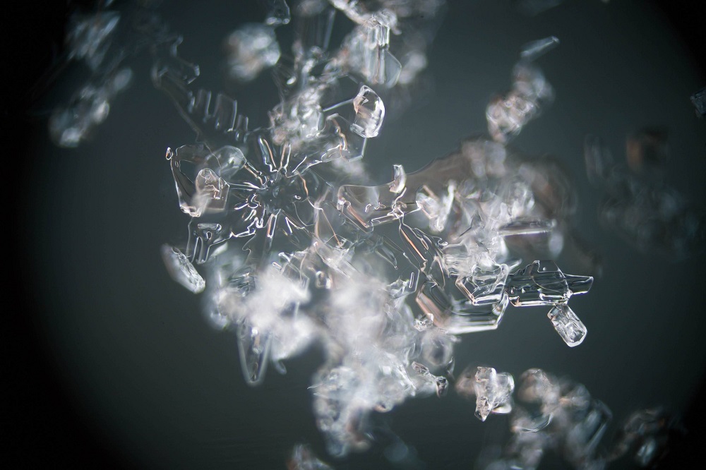 ice crystals macro photography