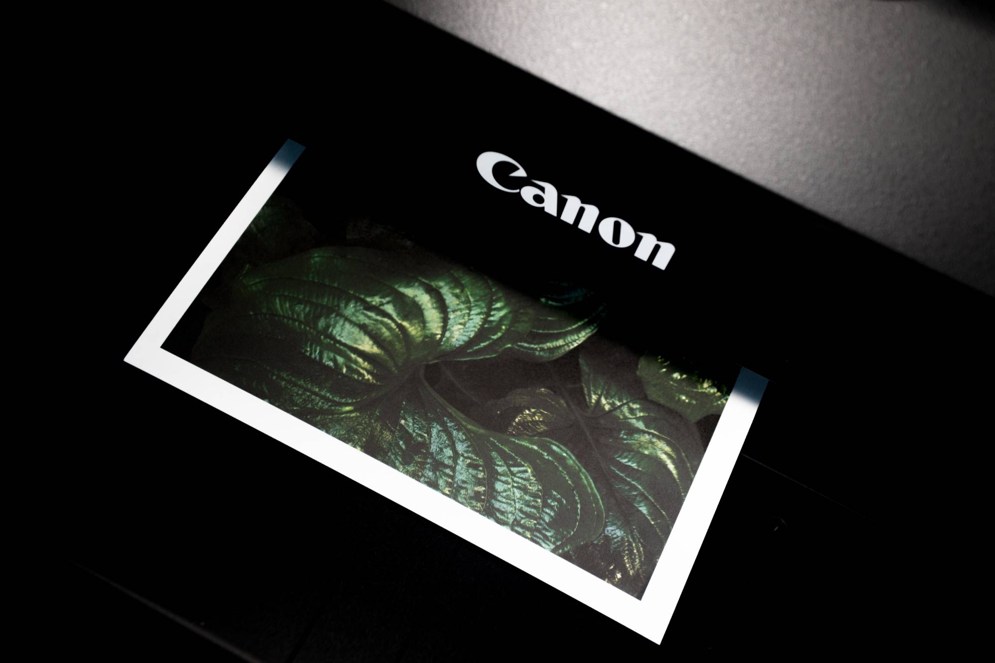 printing an image on a canon photo printer