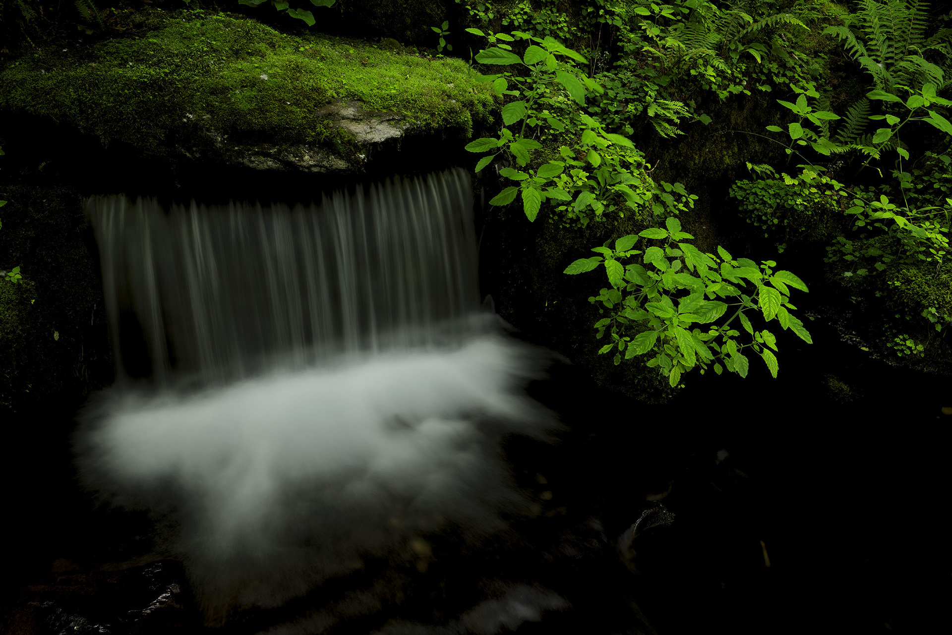 View towards waterfall with green leaves in foreground, photographed using Panasonic Lumix S PRO 24-70mm f2.8 lens