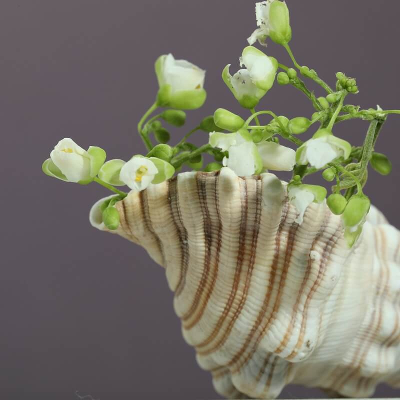 macro shot of a shell with flowers in it