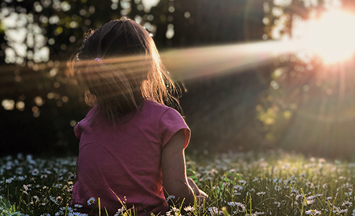 a young girl in pink sitting on a flower field during sunset