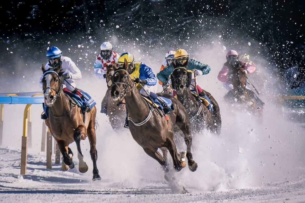 a sports photography shot of a horse race on snow