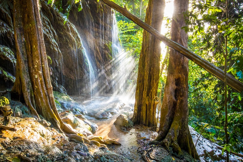 dale waterfall christmas island