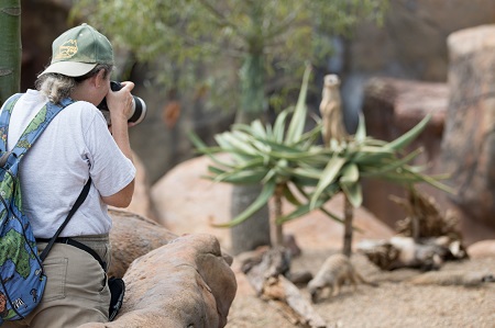 wildlife photographer in a zoo